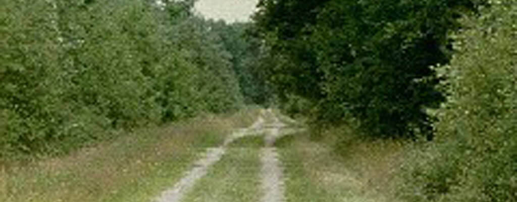 Bentstreeker Moor